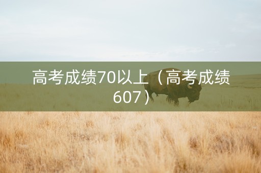 高考成绩70以上（高考成绩607）