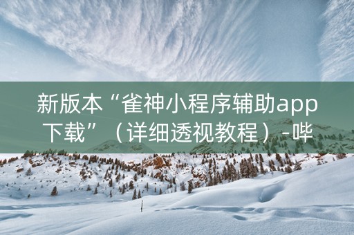 新版本“雀神小程序辅助app下载”（详细透视教程）-哔哩哔哩
