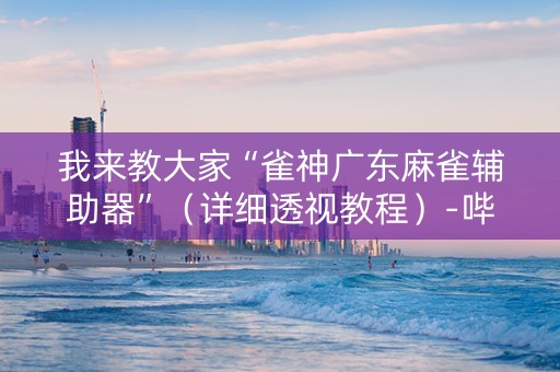 我来教大家“雀神广东麻雀辅助器”（详细透视教程）-哔哩哔哩
