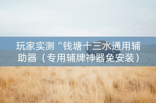 玩家实测“钱塘十三水通用辅助器（专用辅牌神器免安装）