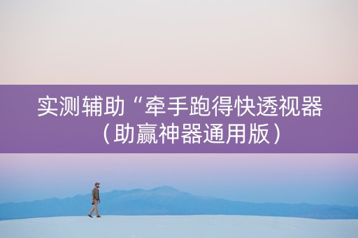 实测辅助“牵手跑得快透视器（助赢神器通用版）