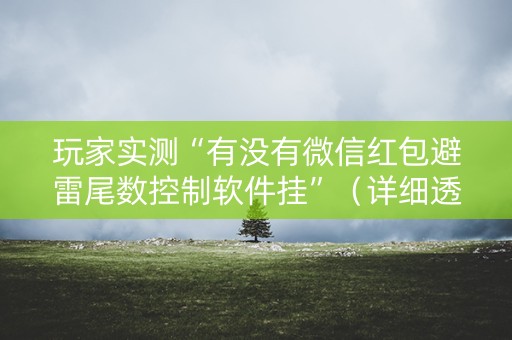 玩家实测“有没有微信红包避雷尾数控制软件挂”（详细透视教程）-哔哩哔哩