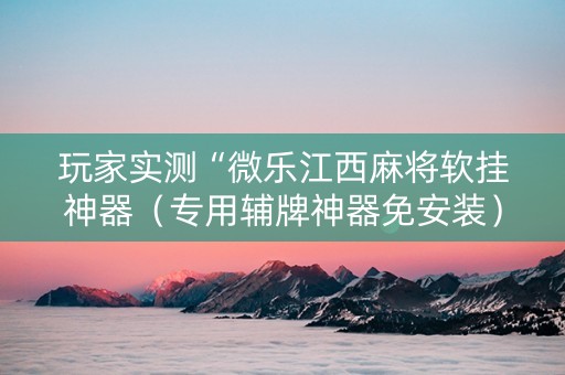 玩家实测“微乐江西麻将软挂神器（专用辅牌神器免安装）