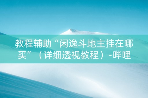 教程辅助“闲逸斗地主挂在哪买”（详细透视教程）-哔哩哔哩