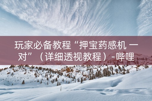 玩家必备教程“押宝药感机 一对”（详细透视教程）-哔哩哔哩