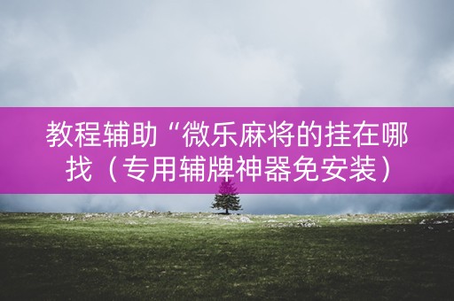 教程辅助“微乐麻将的挂在哪找（专用辅牌神器免安装）