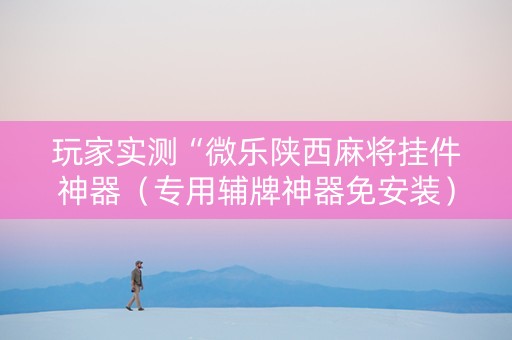 玩家实测“微乐陕西麻将挂件神器（专用辅牌神器免安装）