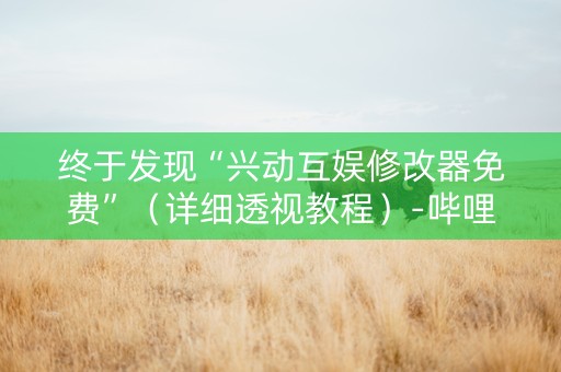 终于发现“兴动互娱修改器免费”（详细透视教程）-哔哩哔哩