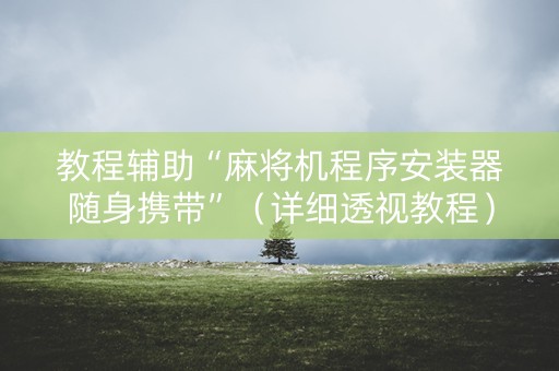 教程辅助“麻将机程序安装器随身携带”（详细透视教程）-哔哩哔哩