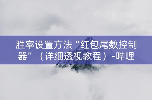 胜率设置方法“红包尾数控制器”（详细透视教程）-哔哩哔哩