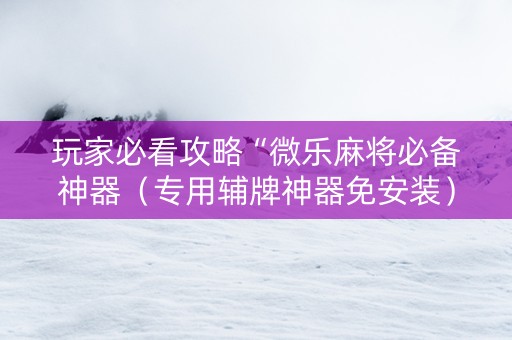 玩家必看攻略“微乐麻将必备神器（专用辅牌神器免安装）