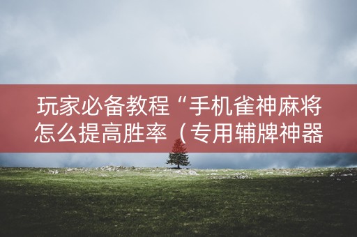 玩家必备教程“手机雀神麻将怎么提高胜率（专用辅牌神器免安装）