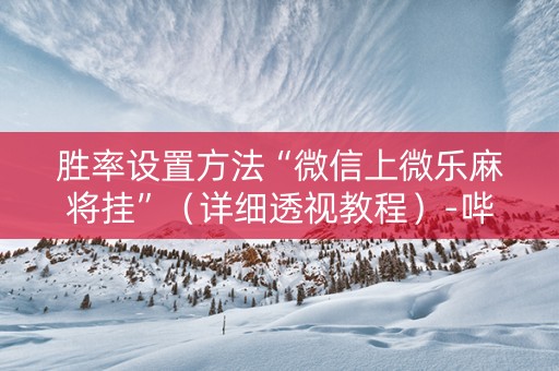 胜率设置方法“微信上微乐麻将挂”（详细透视教程）-哔哩哔哩