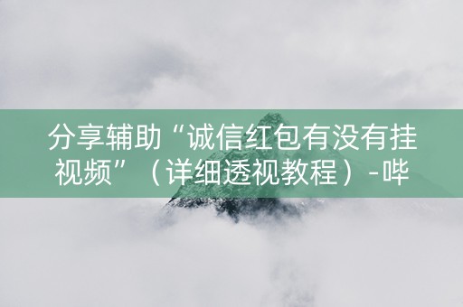 分享辅助“诚信红包有没有挂视频”（详细透视教程）-哔哩哔哩