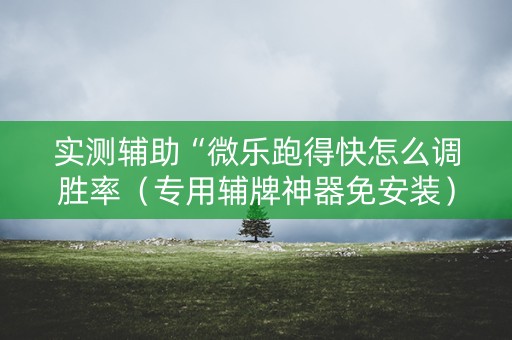 实测辅助“微乐跑得快怎么调胜率（专用辅牌神器免安装）