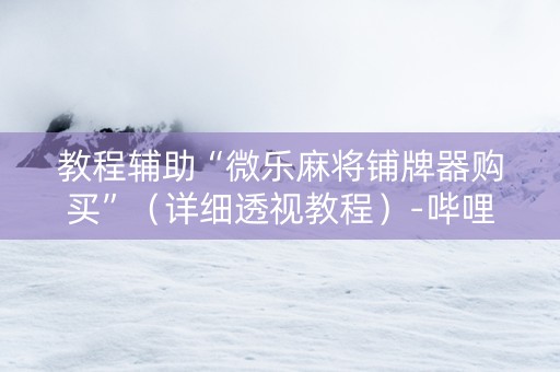 教程辅助“微乐麻将铺牌器购买”（详细透视教程）-哔哩哔哩