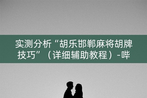 实测分析“胡乐邯郸麻将胡牌技巧”（详细辅助教程）-哔哩哔哩