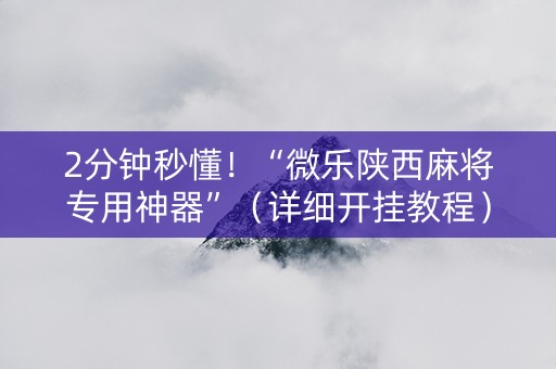 2分钟秒懂！“微乐陕西麻将专用神器”（详细开挂教程）-哔哩哔哩