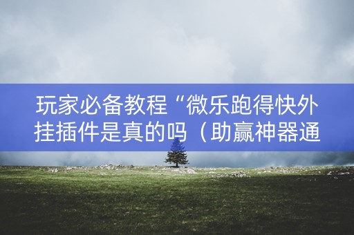 玩家必备教程“微乐跑得快外挂插件是真的吗（助赢神器通用版）