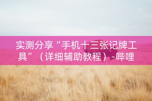 实测分享“手机十三张记牌工具”（详细辅助教程）-哔哩哔哩