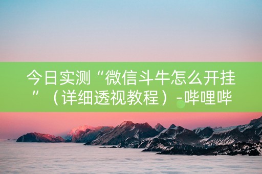 今日实测“微信斗牛怎么开挂”（详细透视教程）-哔哩哔哩