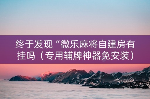 终于发现“微乐麻将自建房有挂吗（专用辅牌神器免安装）