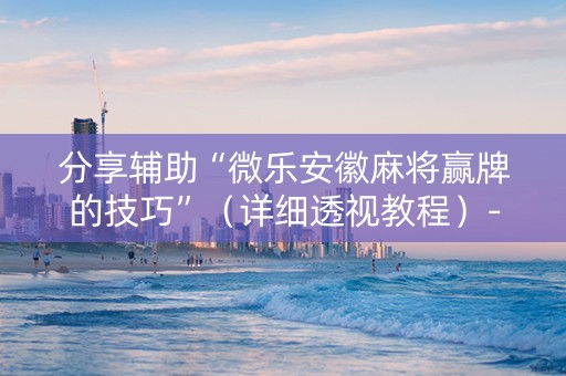 分享辅助“微乐安徽麻将赢牌的技巧”（详细透视教程）-哔哩哔哩