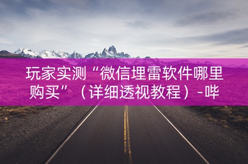 玩家实测“微信埋雷软件哪里购买”（详细透视教程）-哔哩哔哩