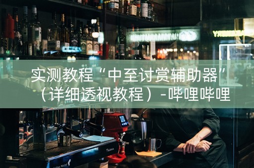 实测教程“中至讨赏辅助器”（详细透视教程）-哔哩哔哩