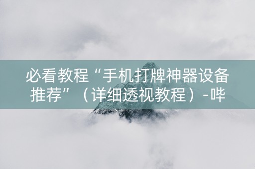 必看教程“手机打牌神器设备推荐”（详细透视教程）-哔哩哔哩
