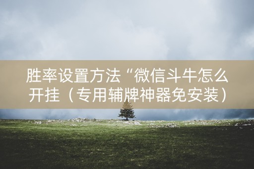 胜率设置方法“微信斗牛怎么开挂（专用辅牌神器免安装）