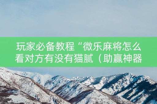 玩家必备教程“微乐麻将怎么看对方有没有猫腻（助赢神器通用版）