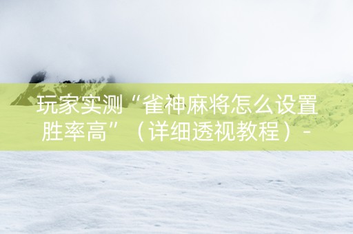 玩家实测“雀神麻将怎么设置胜率高”（详细透视教程）-哔哩哔哩