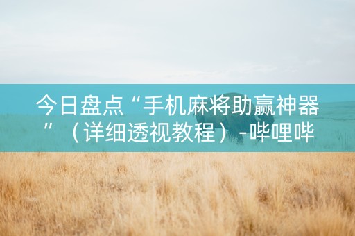 今日盘点“手机麻将助赢神器”（详细透视教程）-哔哩哔哩