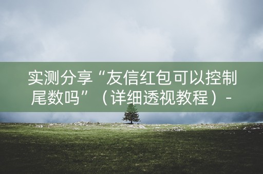 实测分享“友信红包可以控制尾数吗”（详细透视教程）-哔哩哔哩