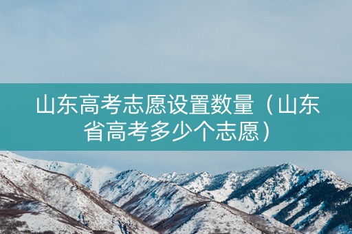 山东高考志愿设置数量（山东省高考多少个志愿）