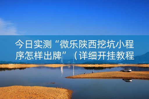 今日实测“微乐陕西挖坑小程序怎样出牌”（详细开挂教程）-哔哩哔哩
