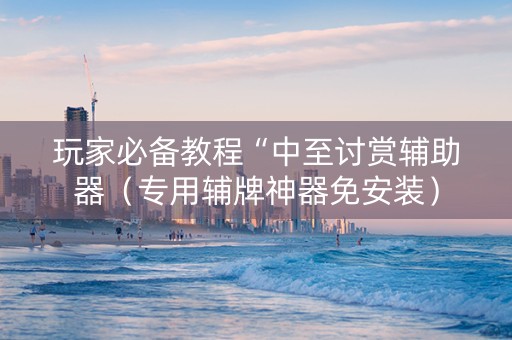 玩家必备教程“中至讨赏辅助器（专用辅牌神器免安装）