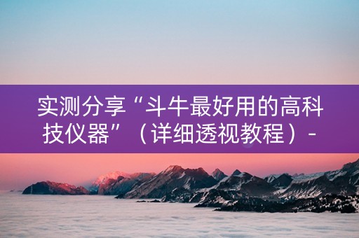 实测分享“斗牛最好用的高科技仪器”（详细透视教程）-哔哩哔哩