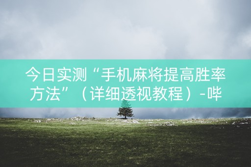 今日实测“手机麻将提高胜率方法”（详细透视教程）-哔哩哔哩