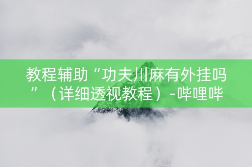 教程辅助“功夫川麻有外挂吗”（详细透视教程）-哔哩哔哩