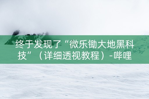 终于发现了“微乐锄大地黑科技”（详细透视教程）-哔哩哔哩