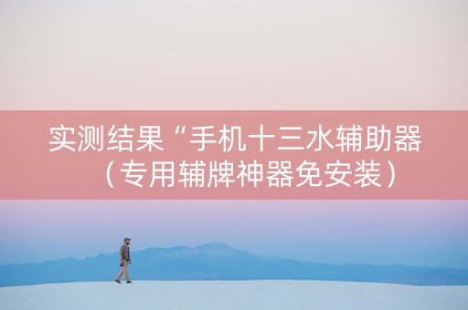 实测结果“手机十三水辅助器（专用辅牌神器免安装）