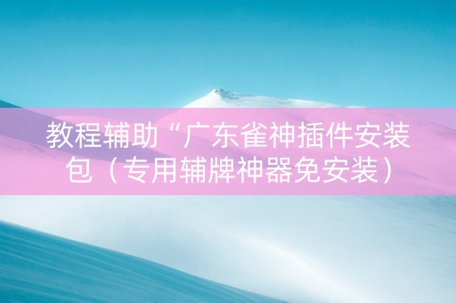 教程辅助“广东雀神插件安装包（专用辅牌神器免安装）