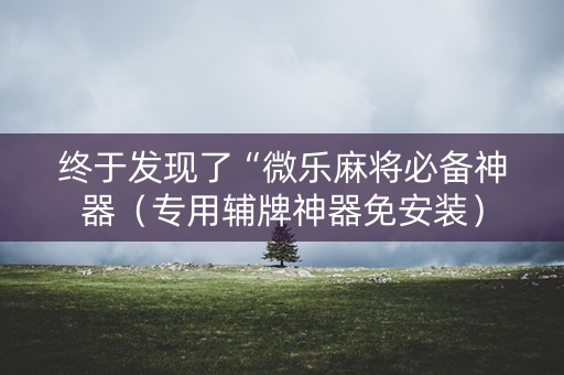 终于发现了“微乐麻将必备神器（专用辅牌神器免安装）