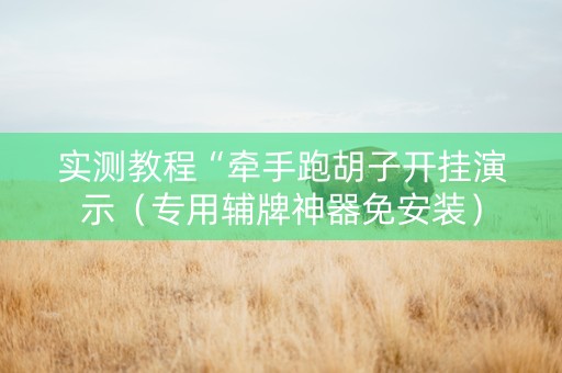 实测教程“牵手跑胡子开挂演示（专用辅牌神器免安装）