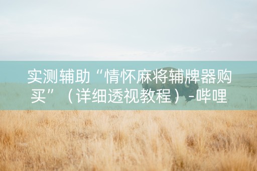 实测辅助“情怀麻将辅牌器购买”（详细透视教程）-哔哩哔哩