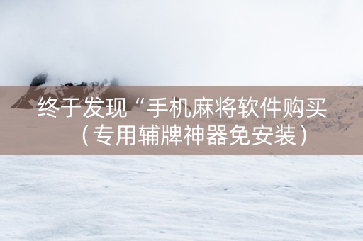 终于发现“手机麻将软件购买（专用辅牌神器免安装）