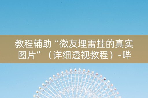 教程辅助“微友埋雷挂的真实图片”（详细透视教程）-哔哩哔哩