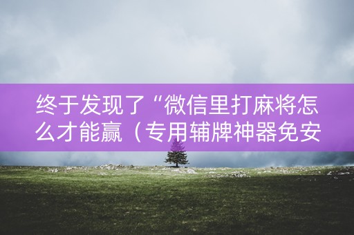 终于发现了“微信里打麻将怎么才能赢（专用辅牌神器免安装）